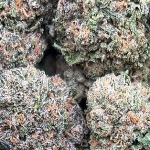 Frosted Runtz Strain- PK391