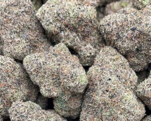 Blockberry – PK376