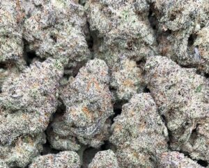 Alien Cookies Weed Strain