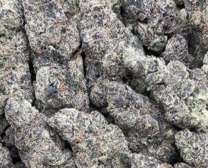 Purple Killer Weed Strain