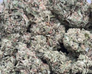 Guava Cake Weed Strain