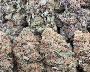 Platinum Calyx Weed Strain