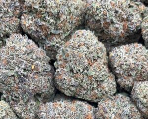 Buy bulk Diamond Dust OG Weed Strain from trusted online dispensaries that ship to all states for premium quality, free shipping, and discreet delivery.