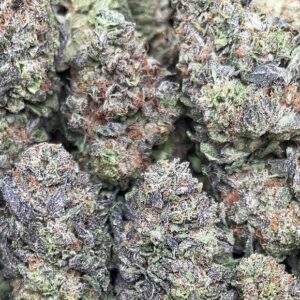 Magnum Opus Weed Strain