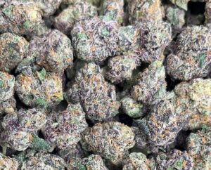 Jealousy Weed Strain