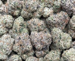 Purple Lambo Weed Strain