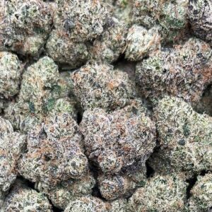 Purple Lambo Weed Strain
