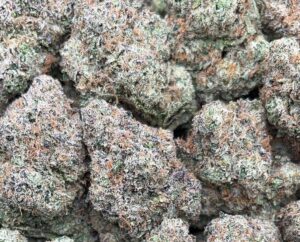 Lemon Cherry Gelato Gelato Weed Strain