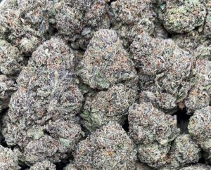 Runtz Muffin Weed Strain