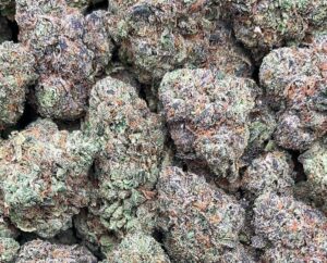 Pink Candy Kush Strain