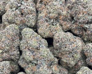 Rainbow Rozay Weed Strain