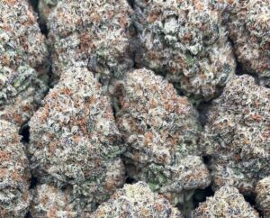 Ice Cream Cake Weed Strain