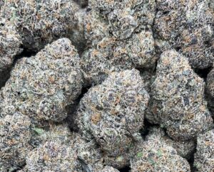 Northern Lights Weed Strain