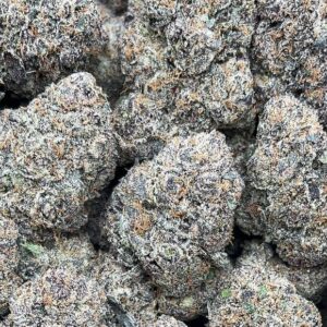 Northern Lights Weed Strain