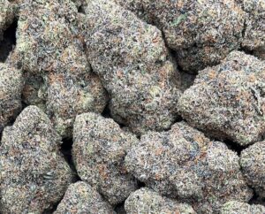 Versace Weed Strain