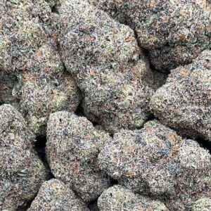 Versace Weed Strain