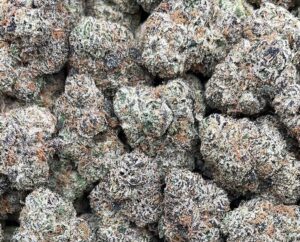 Purple Champagne Weed Strain