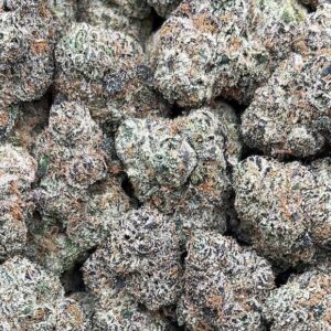 Purple Champagne Weed Strain