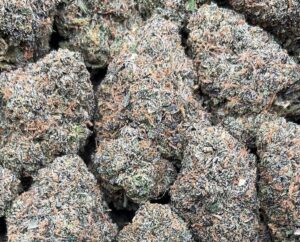 LA Soda Weed Strain