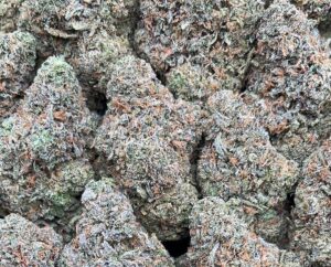 frosty gelato weed strain for sale at PK God official online dispensary
