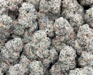 Gorilla Mintz Weed Strain