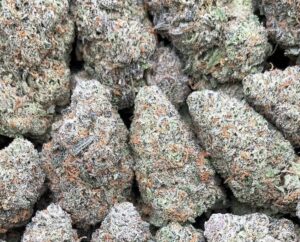 Pink Panther Weed Strain