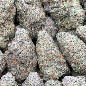 Pink Panther Weed Strain