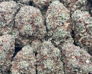 Oreo Cake Weed Strain