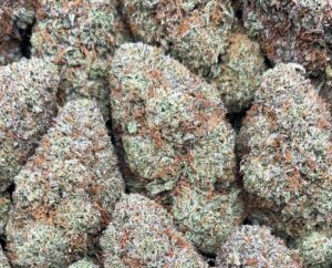 Platinum Blue Dream Strain