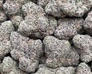 Obama Runtz Weed Strain