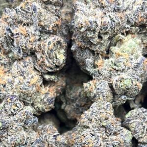 Blue Alien – PK103