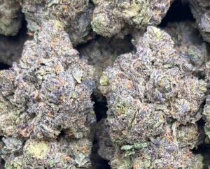 Purple Hindu Kush Strain