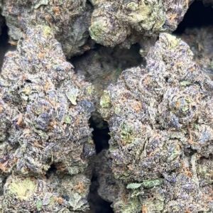 Purple Hindu Kush Strain