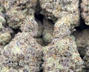 Space Cake Weed Strain