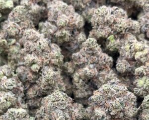 Blue dream weed strain for sale at online dispensary
