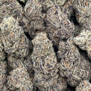 Chimera – PK160