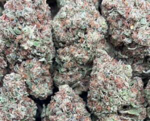 Juicy Berry Strain– PK384