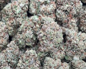 Hawaiians Cookies Weed Strain