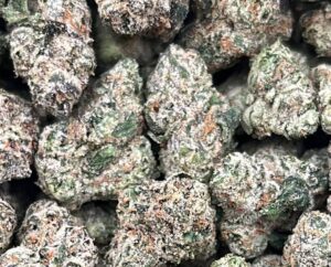 Frosted Runtz Weed Strain | Wholesale Bulk Weed Online Texas