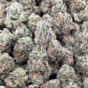 Black Tuna Weed Strain