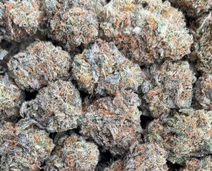 Malawi Gold Weed Strain 
