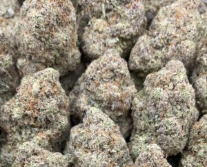 Master Kush Weed Strain