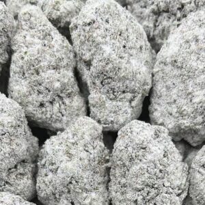 Snow White Weed Strain