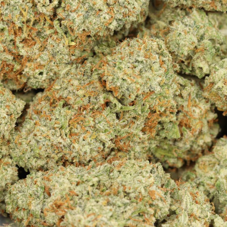 Frosted Runtz Strain - Buy Premium Hybrid Weed Online