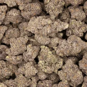 Berriez Strain