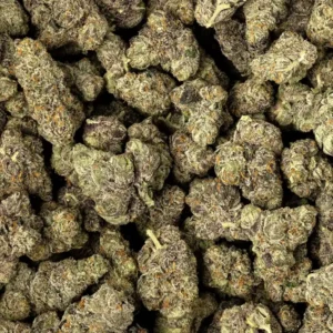 Biscotti x Ether Strain
