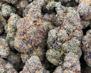Black Widow Strain