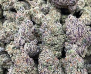 Blue Poison Strain