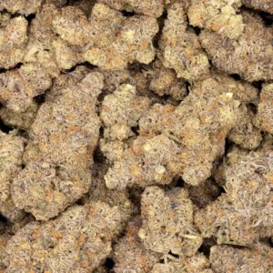 Carbon Fiber Strain