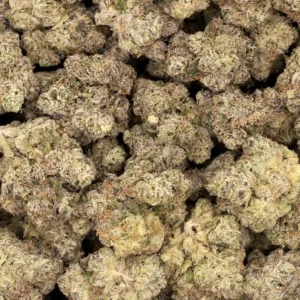Garlic Cookies Strain